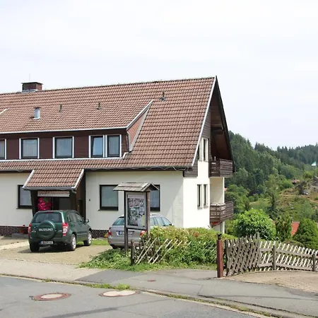 Pfeifer's Appartementhaus * ألتيناو